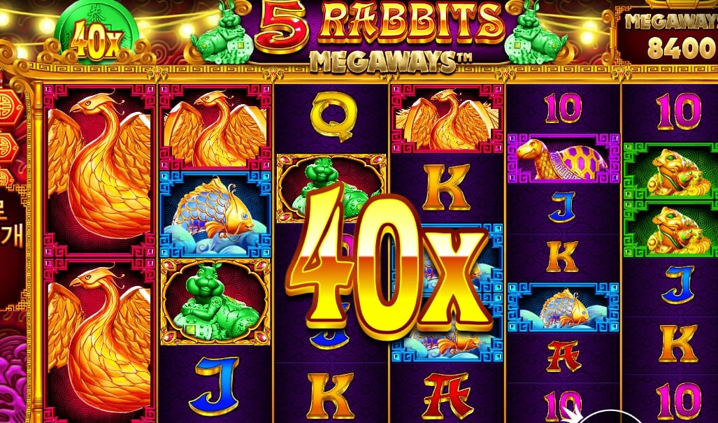 토끼 요새곡소리좀 나던데 이제 슬슬주려나보네요 ^^