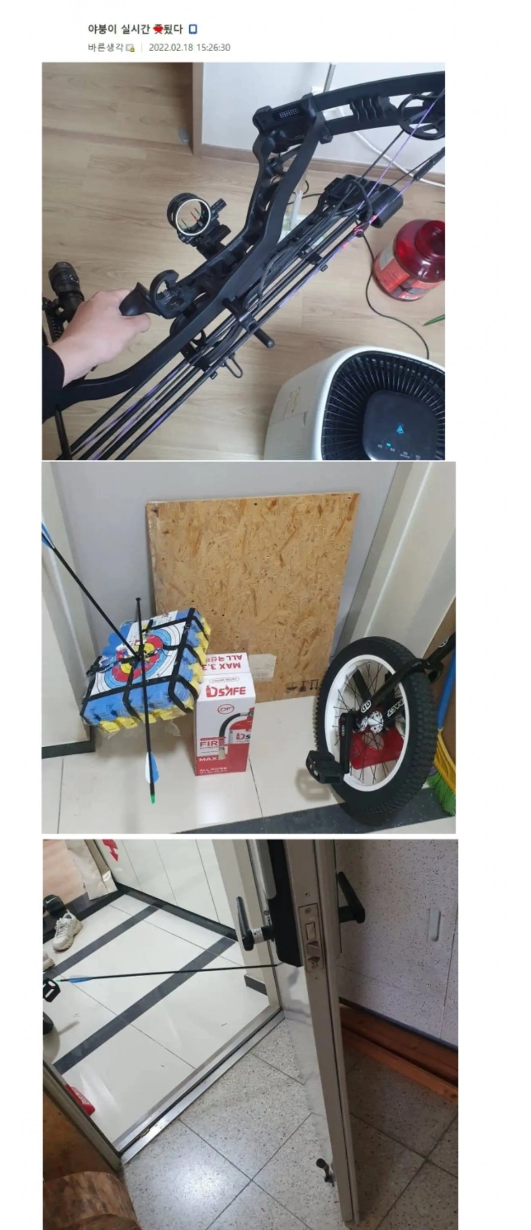 집에서 활을 쏜 디시인 ㅋㅋㅋㅋ