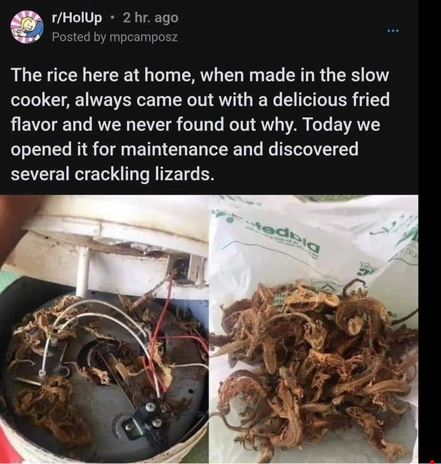 압력밥솥에서 만든 밥이 항상 튀김맛이 났던 이유