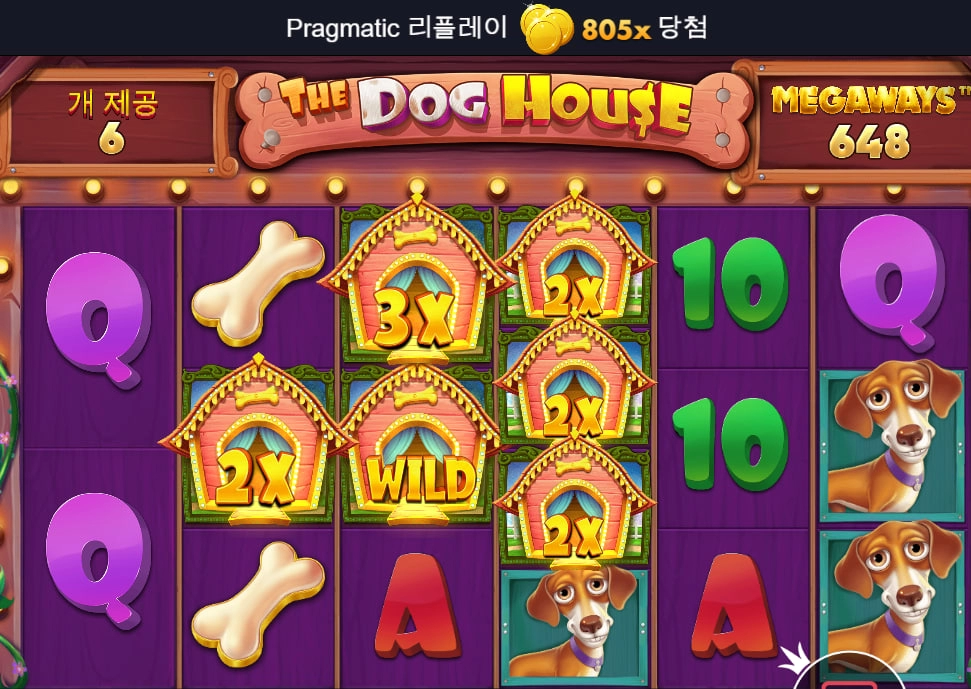 도그하우스 소액 200원짜리 3탄!!