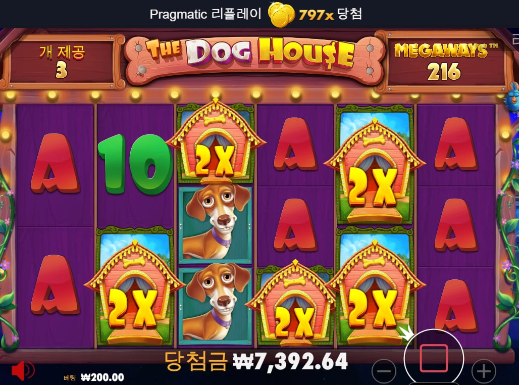 아침에 개밥주다가 생각이나서 ㅎㅎ