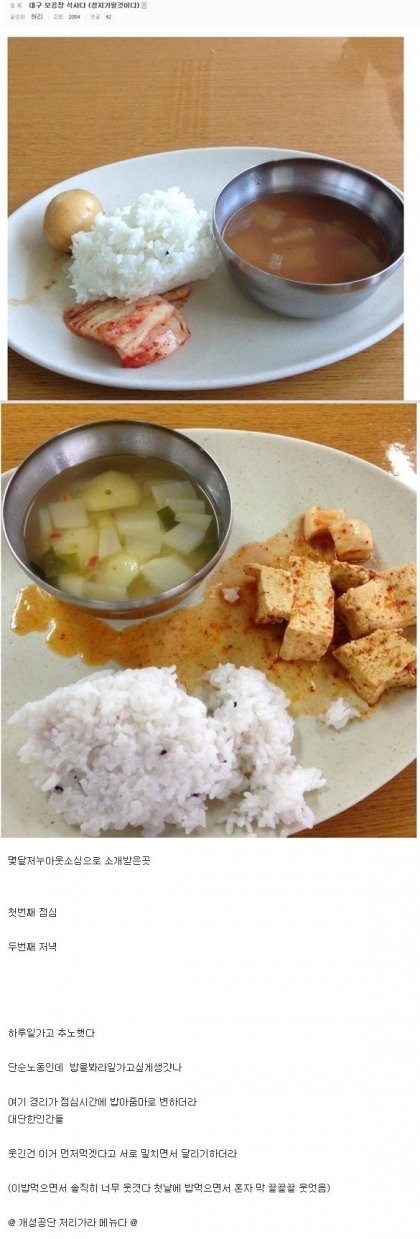 좆소기업의 점심식사