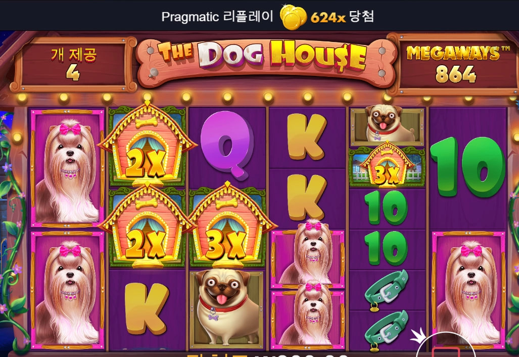 비오는 새벽 소액러 승률 ㅎㅎ