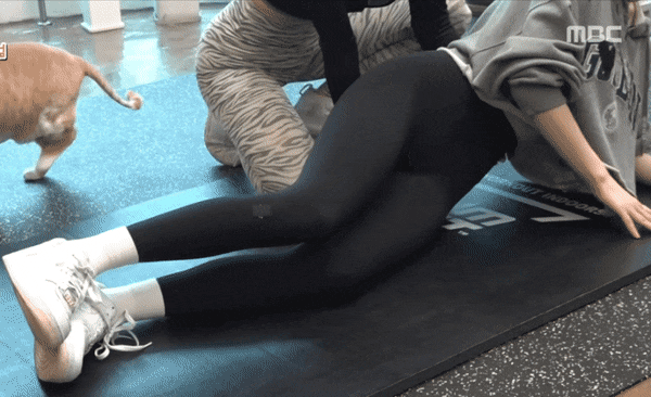 카리나 레깅스 입고 운동 고양이 자세 ㅎㄷㄷ
