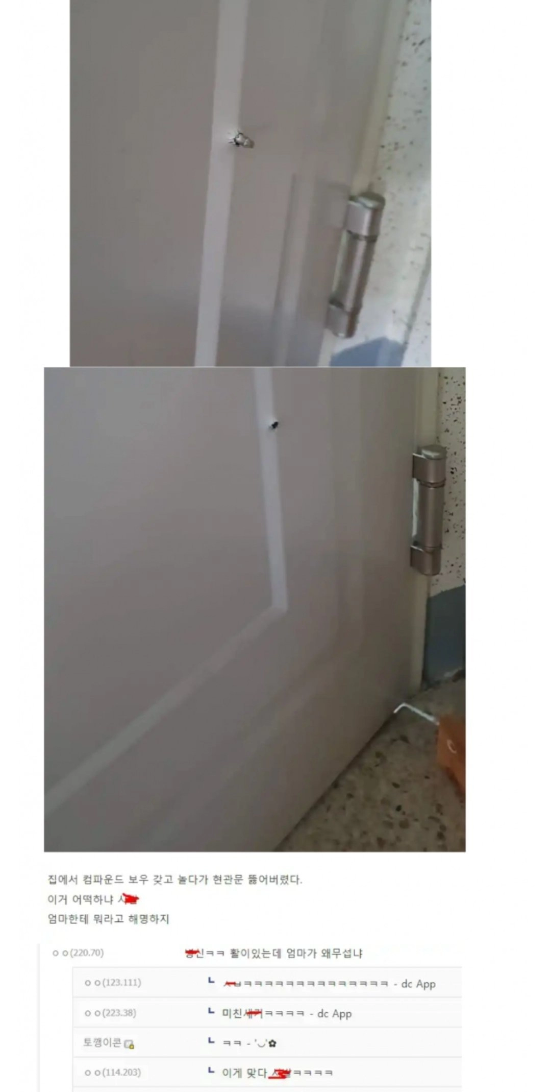 집에서 활을 쏜 디시인 ㅋㅋㅋㅋ