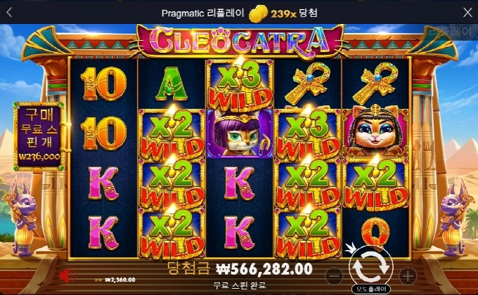 올만에 고냥이 상콤하게 ㅎㅎ