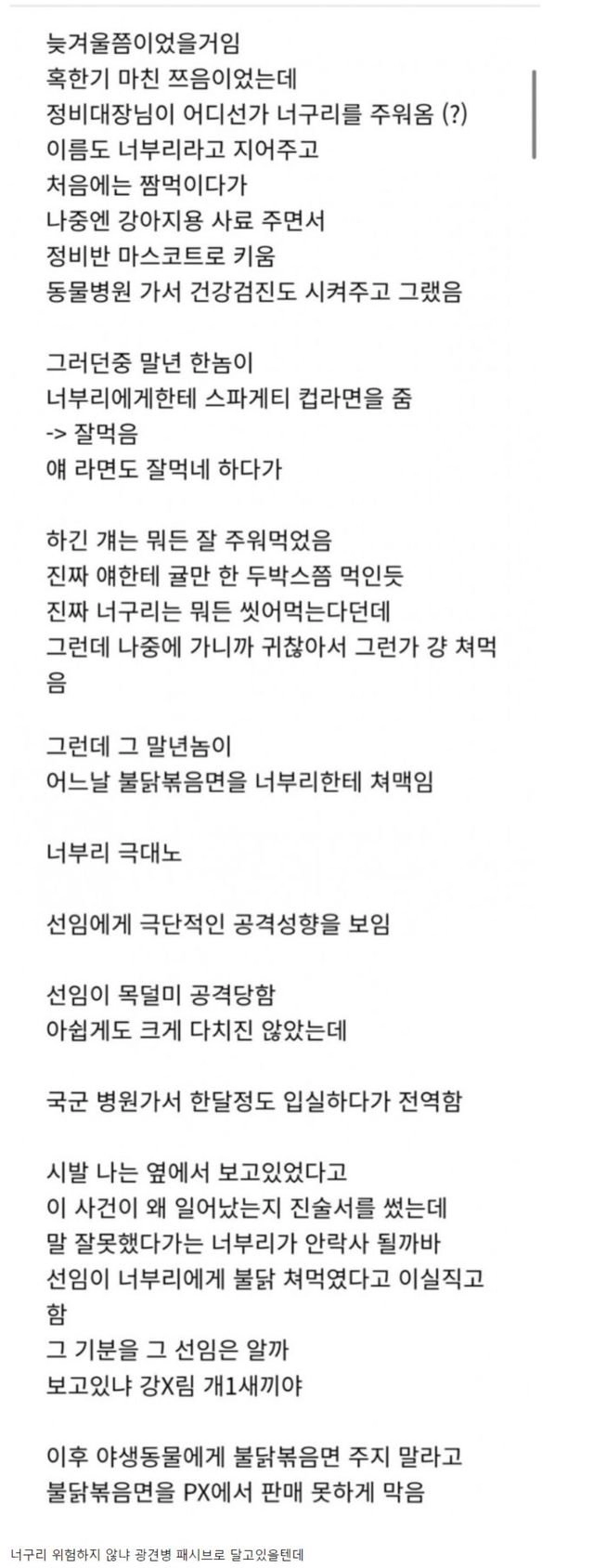 너구리에게 불닭볶음면 먹인 선임
