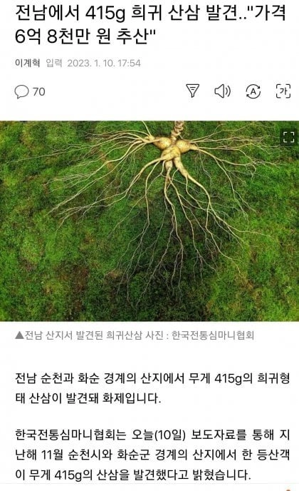 전남에서 415g 희귀산삼 발견..6억8천만원 추산