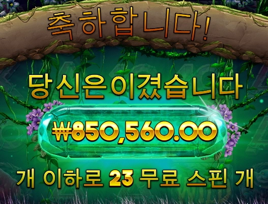 가토 메이햄 터졌네요