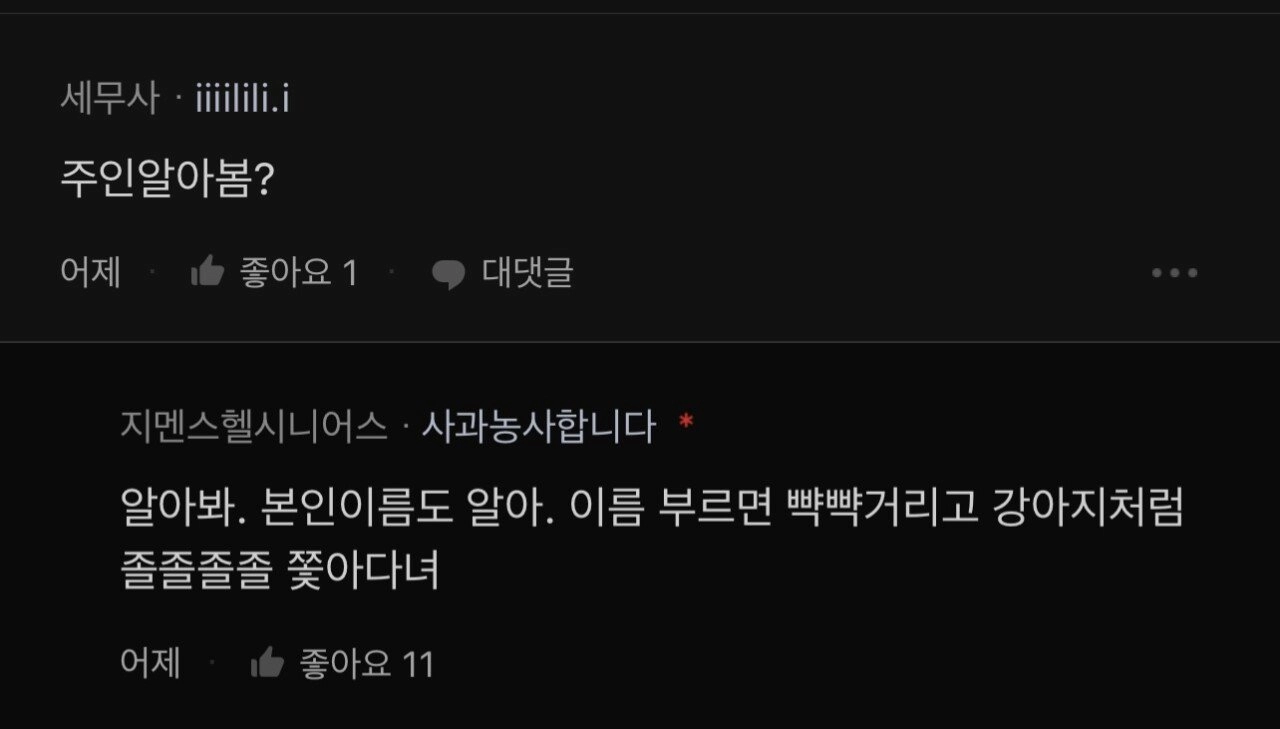 애완 메추리 키우는 여자