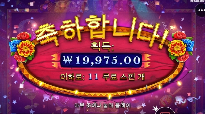 핫피 참 사대 안맞네