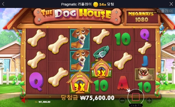 진짜 개같이 주네 아오 쌍늠들