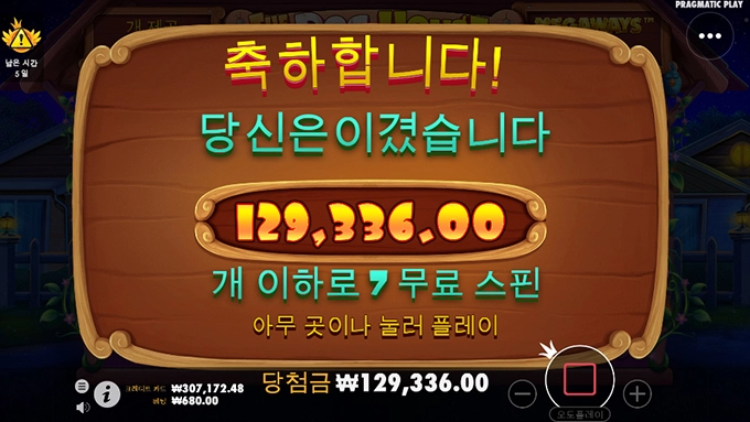 오전 강아지 산책