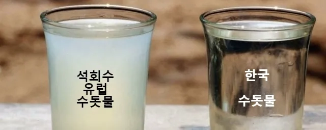 의외로 전 세계적으로 안 흔한거