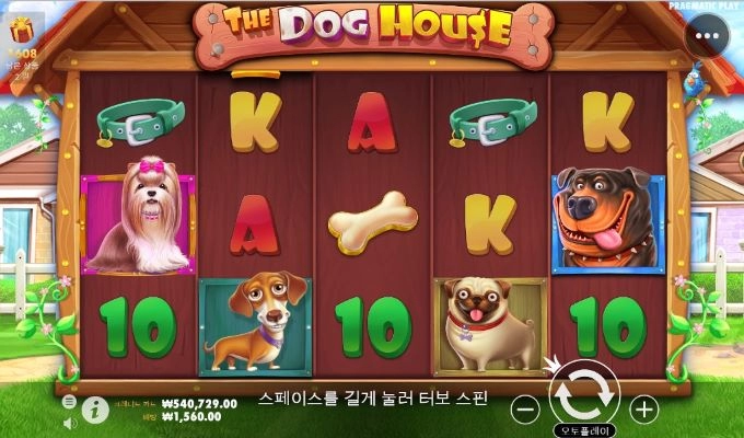 개집으로 스타트