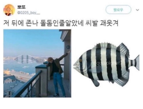 깜짝이야