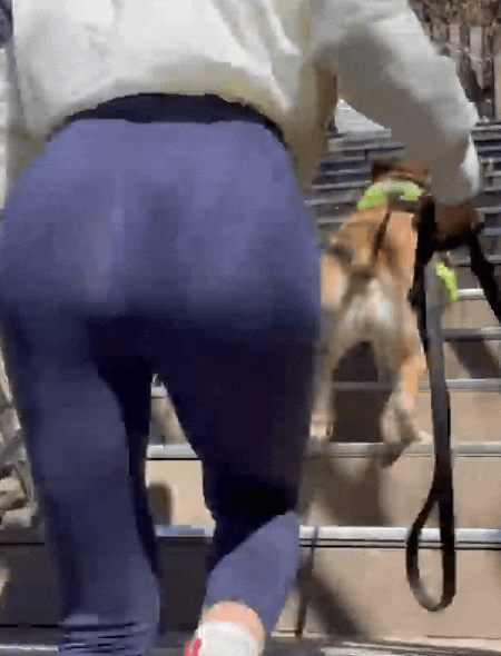 김사랑 닮은 트레이너