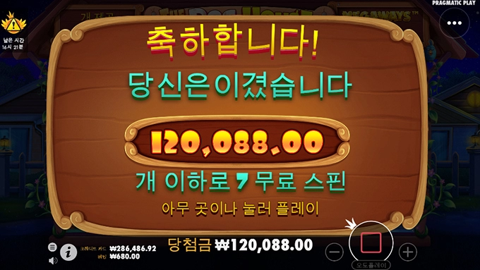 늦은 밤 강아지 산책!