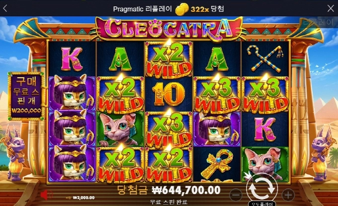 캐트라 짱이네요 ㅋ