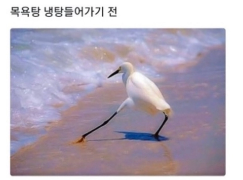 냉탕들어갈때 공감