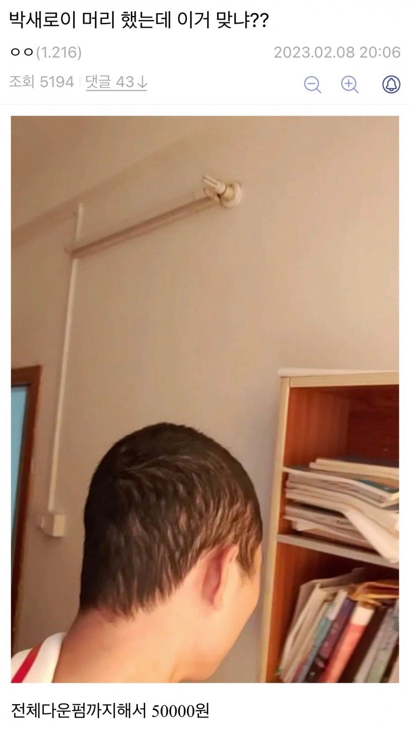 박새로이컷 도전한 디씨인