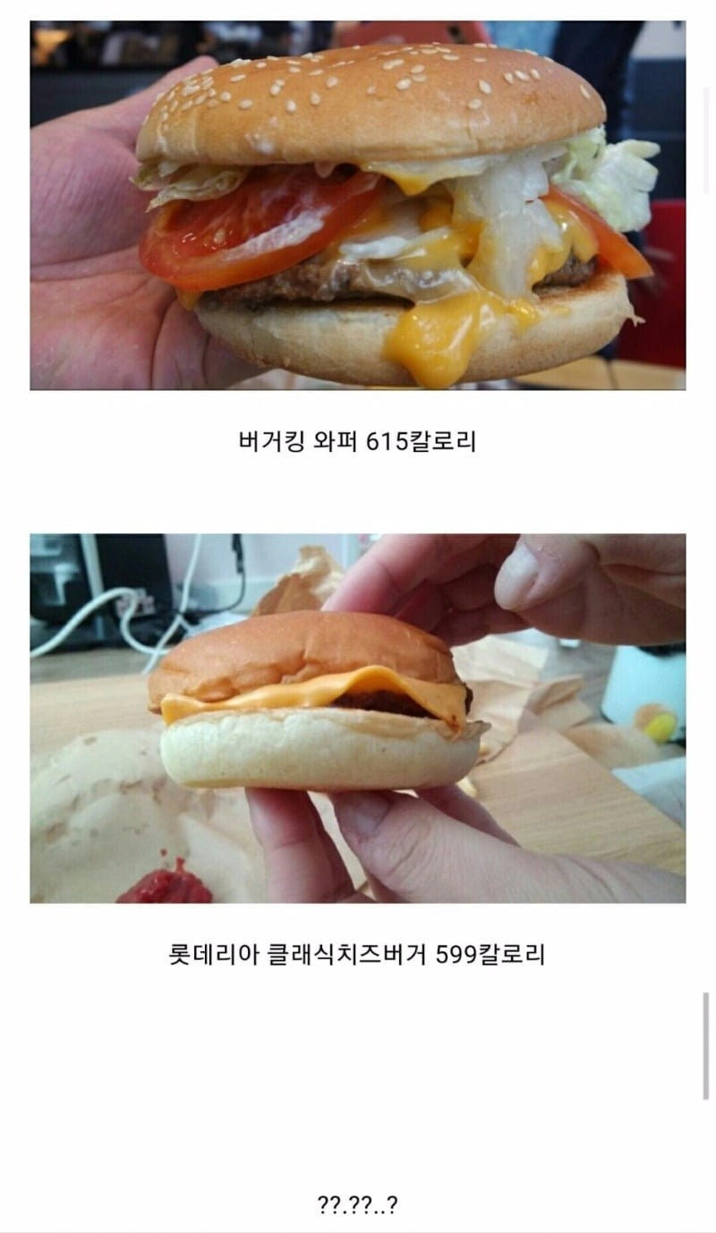 롯데리아 버거킹 칼로리 차이