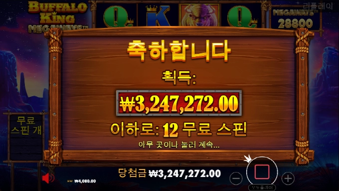 버팔로는 배신없지ㅅㅅ