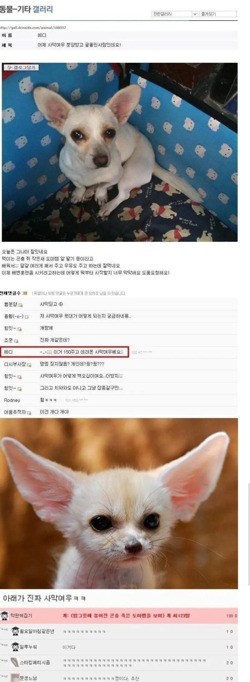 150만원어치 사기당한 디시인