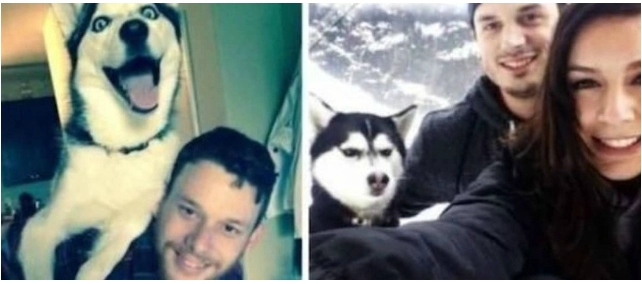 여친 생기기 전 VS 여친 생긴 후 댕댕이