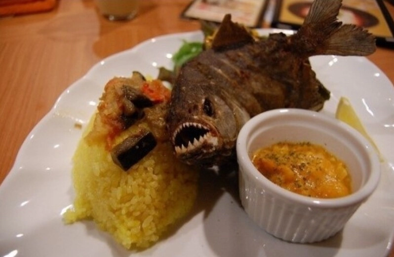 강원도 아마존 피라냐 방류사건