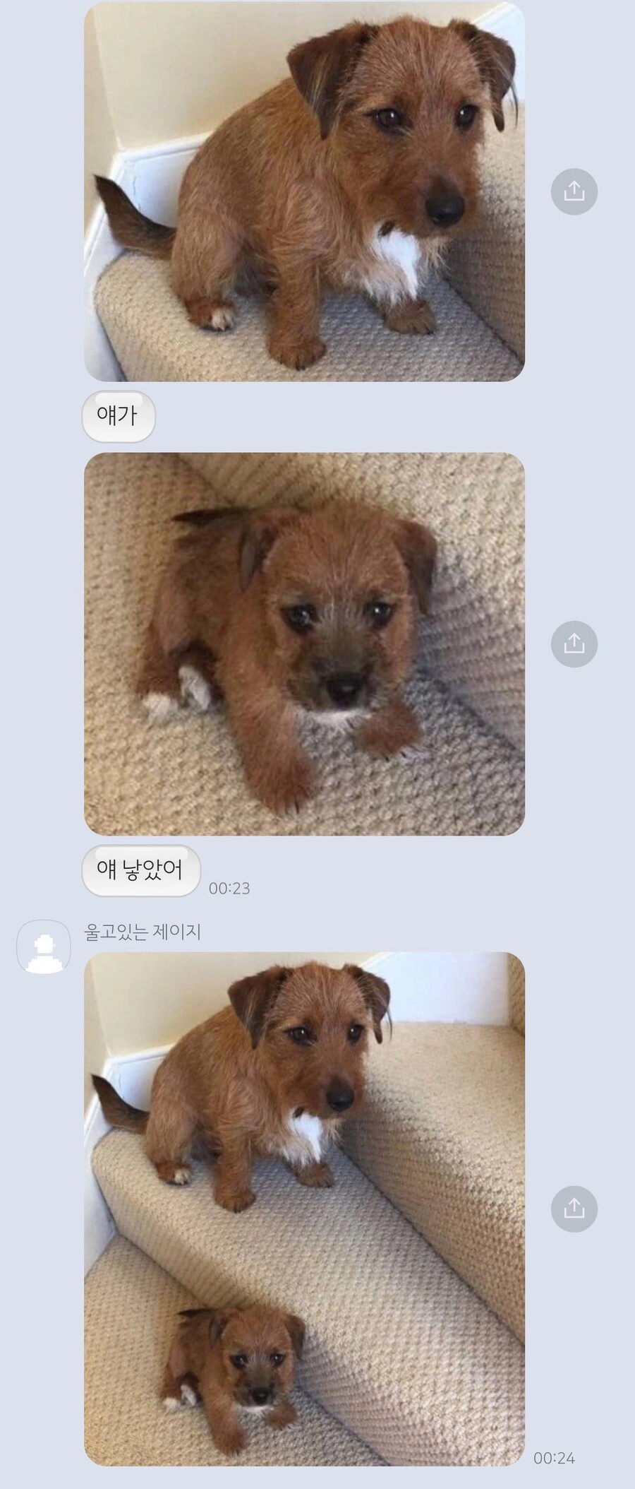 강아지 복붙