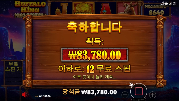 버팔로 후기ㅜㅜ