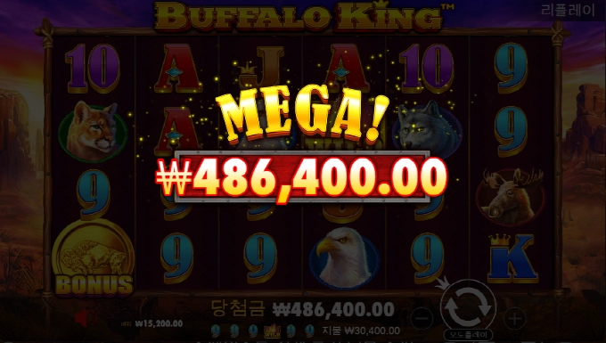 망한후기 버팔로탔습니다