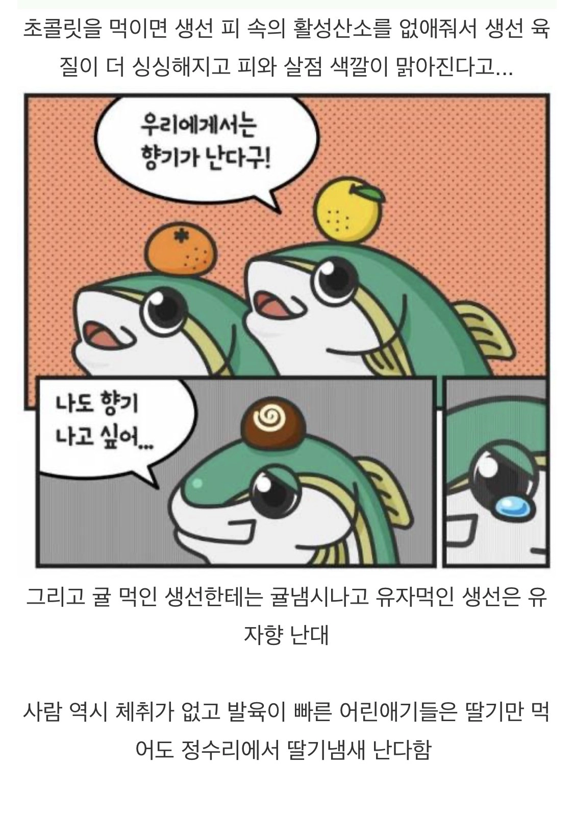 방어가 출하되기 전에 먹는것
