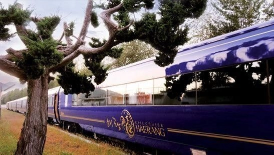 한국에서 대박 친 효도 상품