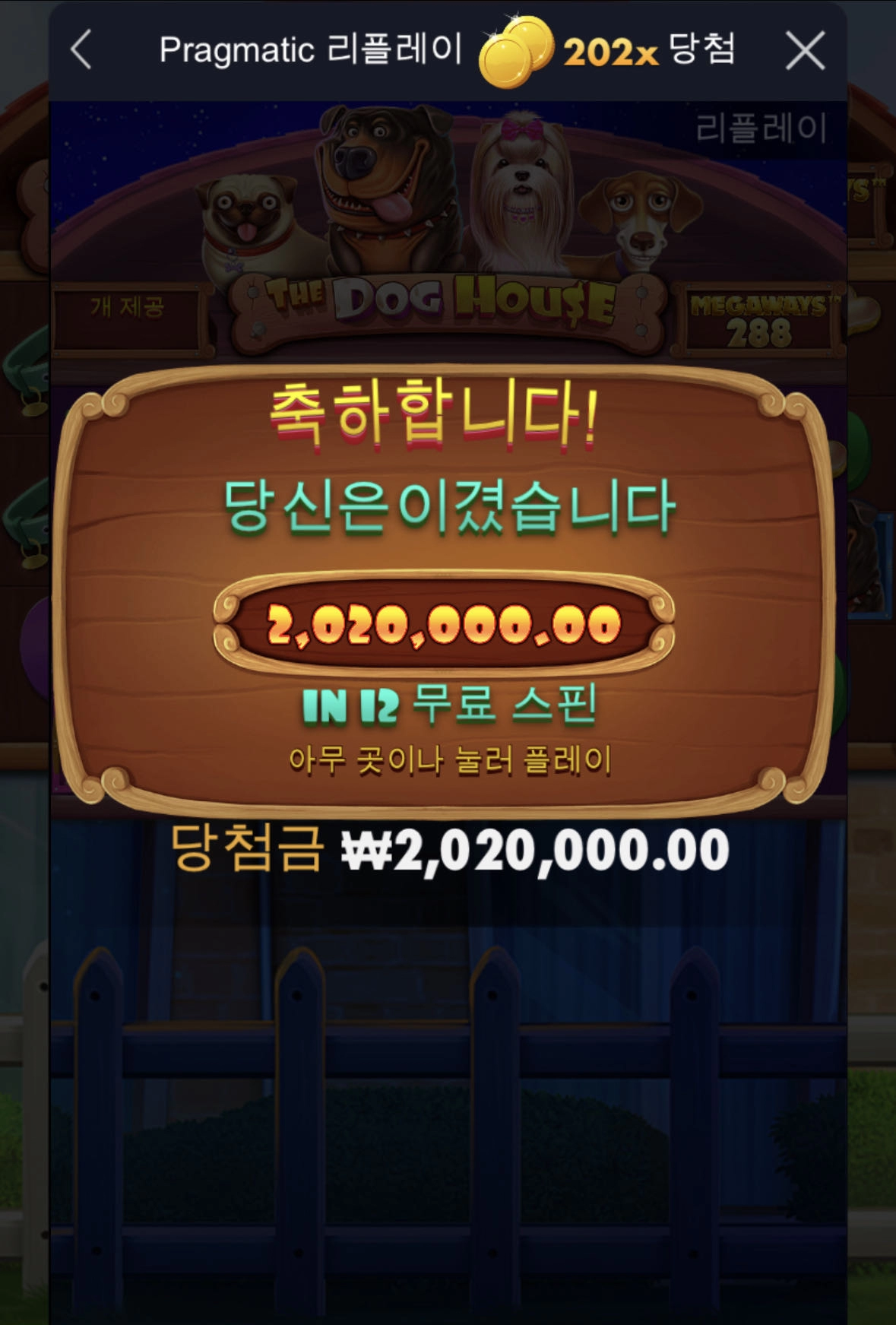 도그하우스 간신히 맨징ㅎ