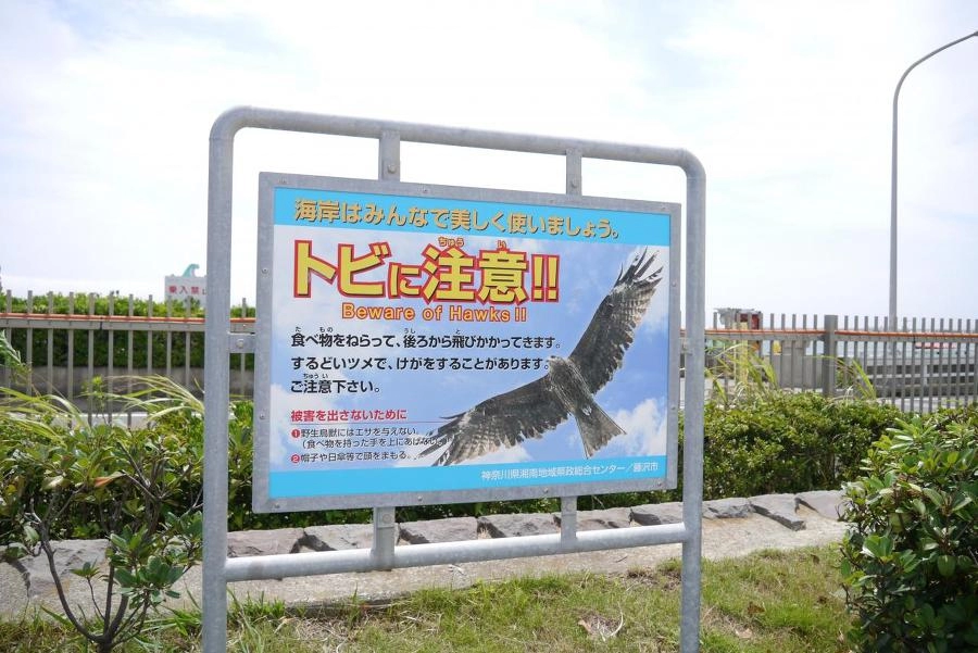 일본 관광지 섬에 새 주의 표지판이 있는이유