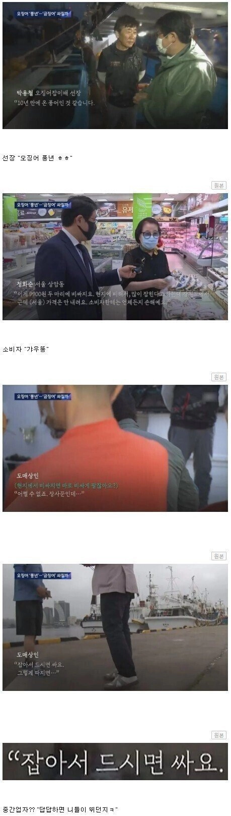 작년 역대급 오징어 풍년이었는데 비쌌던 이유