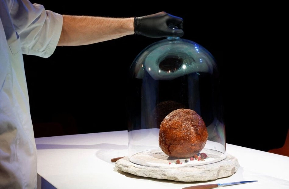 멸종한 매머드 DNA를 기반으로 만든 거대 미트볼