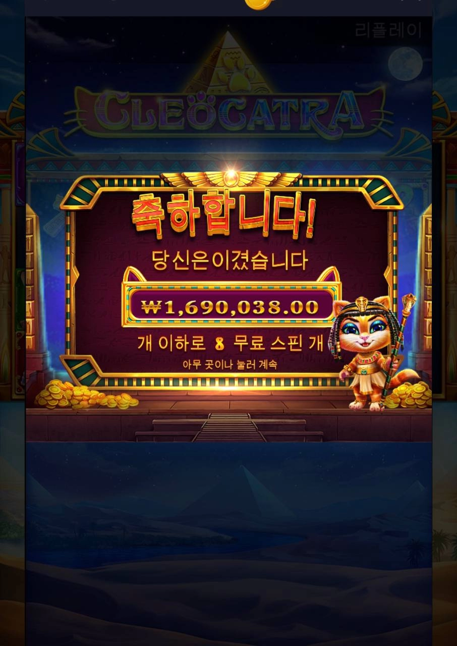 강남파티 고양이후기