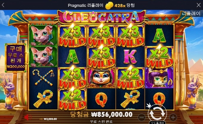 고양이가 원탑 400배 고맙고 ㅎㅎ