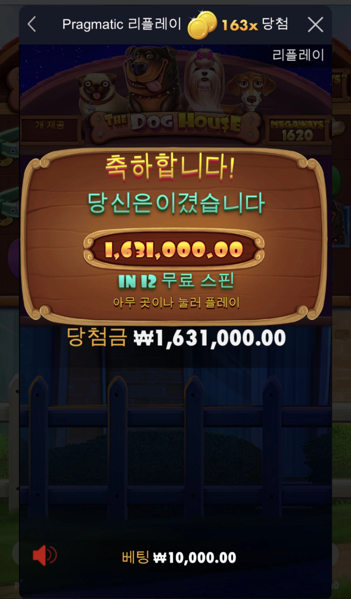 개집 160배 후기