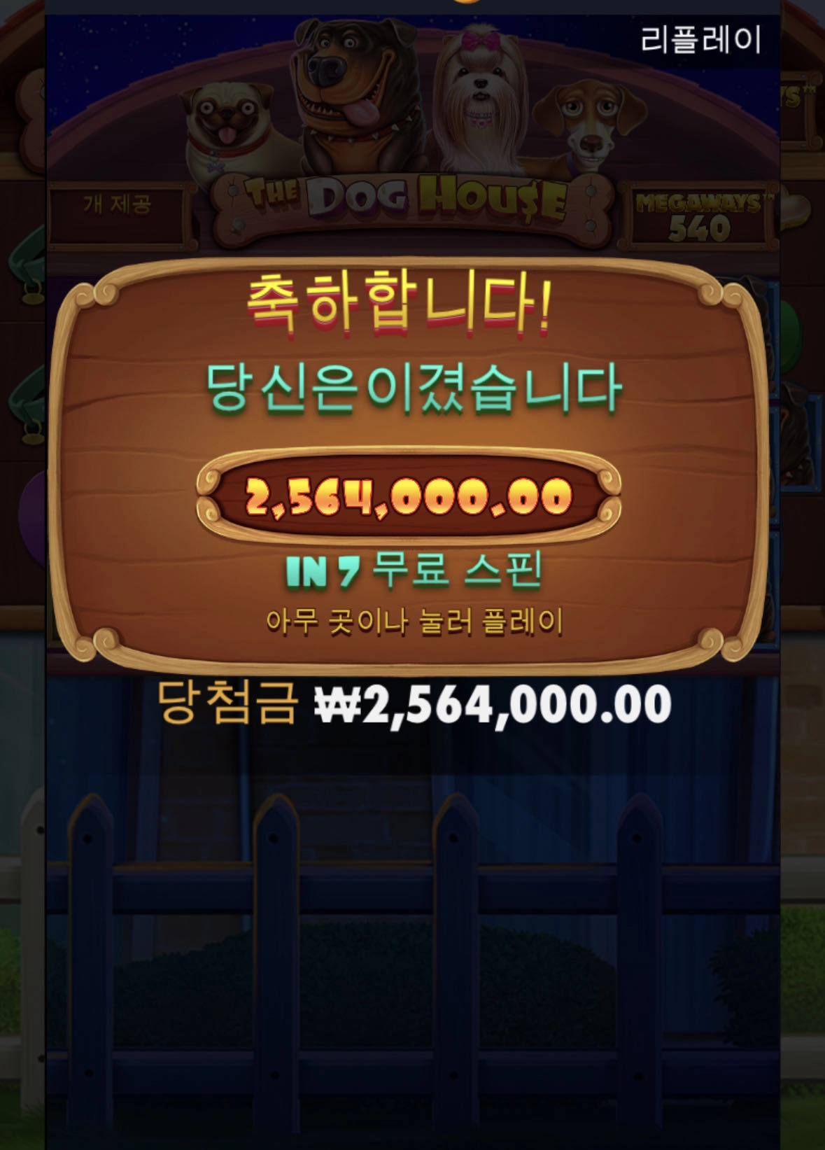 암만해도 도그하우스가 탑인듯