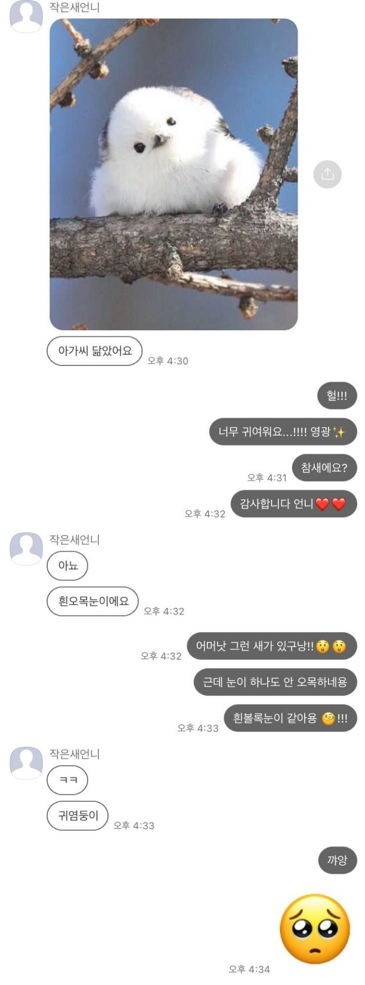 새언니 카톡왔는데 어...이런 말투로 이런거 보내심....