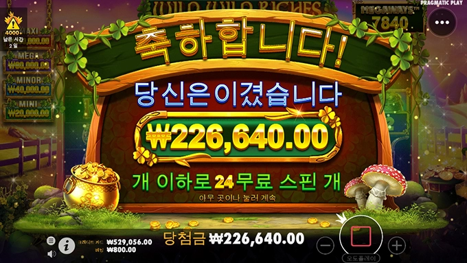 와일드 와일드 리치스