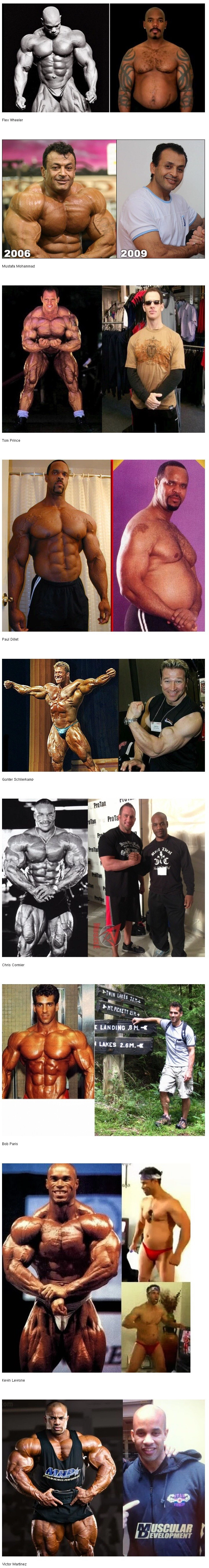보디빌더들의 은퇴 후 모습들