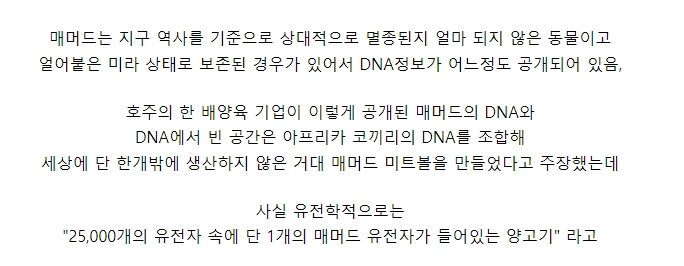 멸종한 매머드 DNA를 기반으로 만든 거대 미트볼