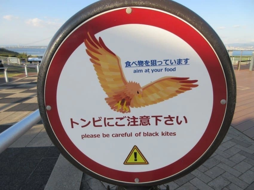 일본 관광지 섬에 새 주의 표지판이 있는이유