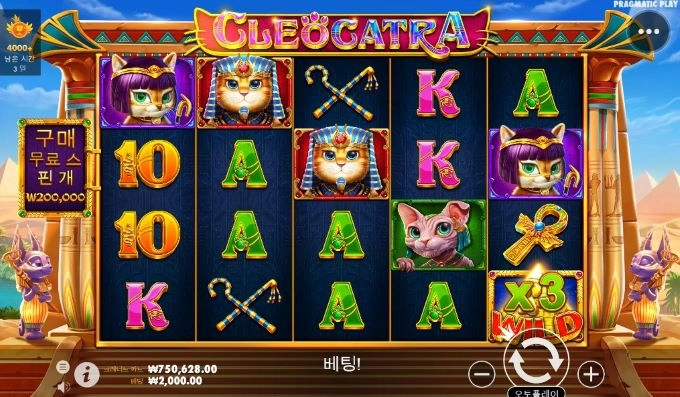 오늘은 여기서 마무리