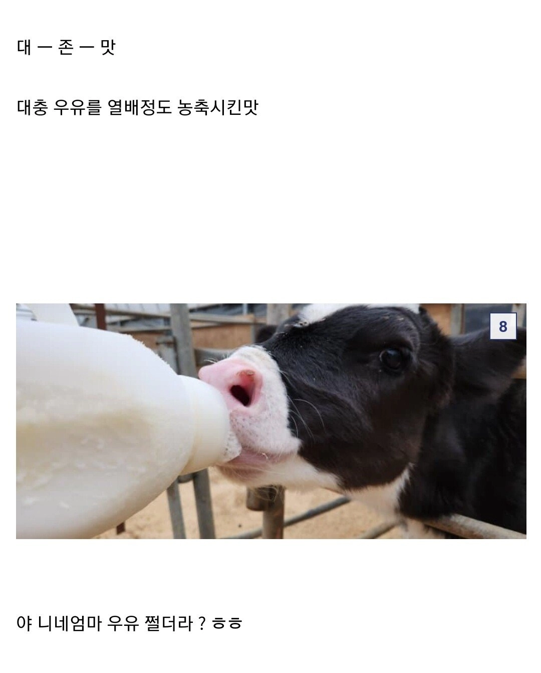 집에서 카이막 만들기